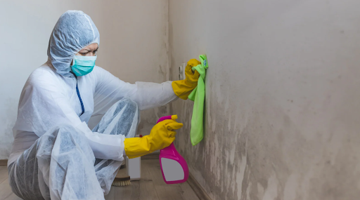 Mold Remediation
