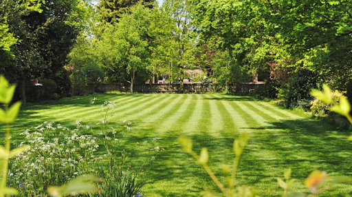 Consistent Lawn Maintenance